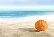 巴西女足实力强劲，斩获洲际锦标赛亚军