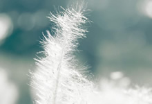 荷兰队首战告捷，击败挪威