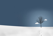 巴西女足实力强劲，斩获洲际锦标赛亚军