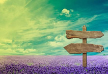 欧洲顶级篮球俱乐部签下新援，备战新赛季