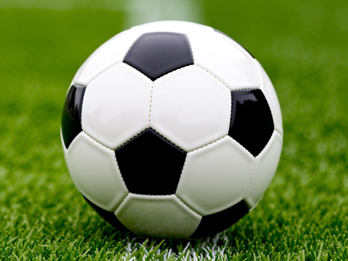 九游娱乐app下载-“短柄墙球:高新区全民健身馆,比赛不止是对抗,更是智商与反应速度的比拼” 第3张