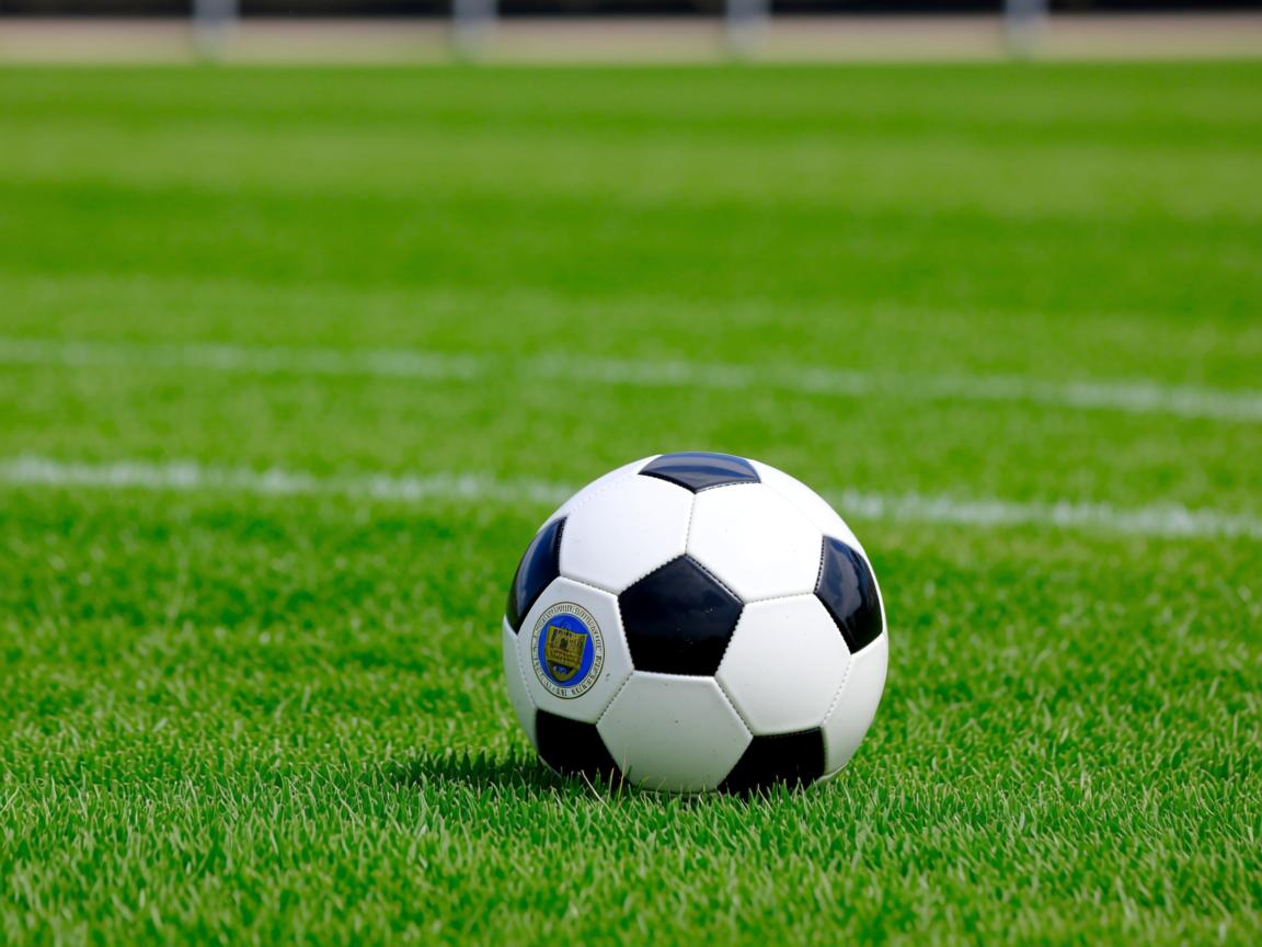 九游官网入口活动-中国乒乓球队内部对抗赛检验奥运阵容，乒乓球奥运中国参赛队员  第2张