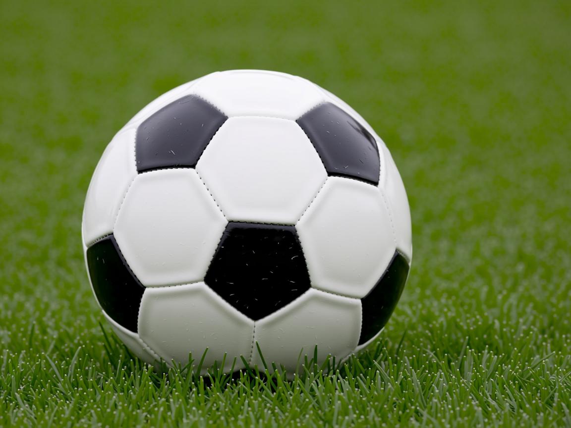 九游娱乐平台-中国男篮通过实战训练提升应变能力，中国男篮体能训练