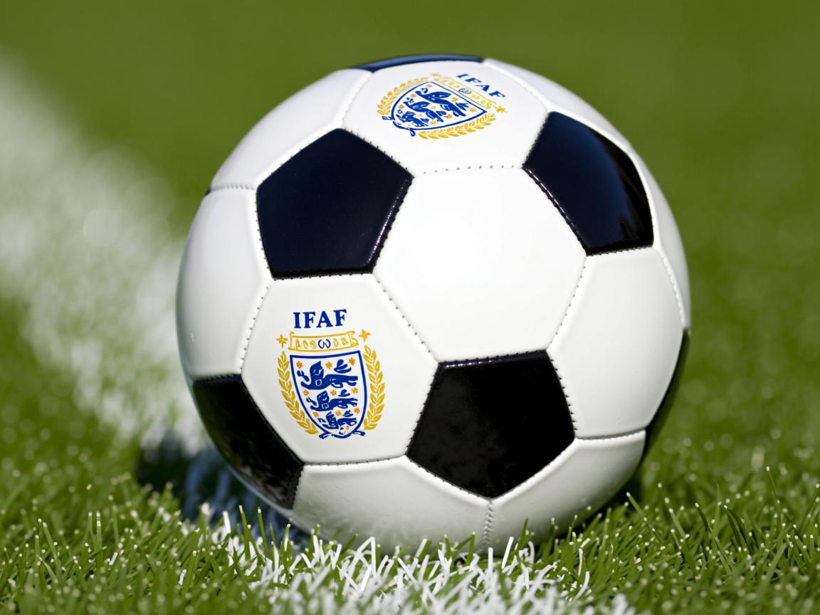 九游娱乐官方平台-埃及队在2024年世界杯赛场上的坚韧表现，埃及进入世界杯激动的场面  第2张