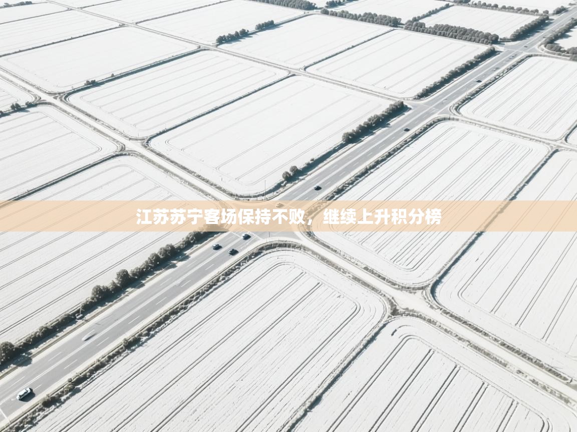 江苏苏宁客场保持不败，继续上升积分榜  第2张