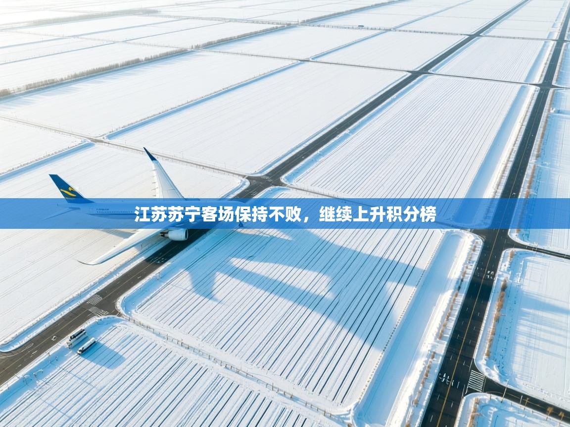 江苏苏宁客场保持不败，继续上升积分榜