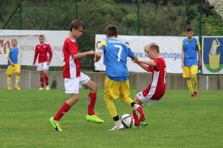 九游娱乐网站-“福乐球决战开启,新都香城体育中心见证精彩” 第2张